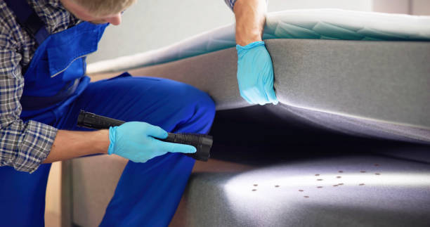 Best Pest Prevention Services  in Caway, AR