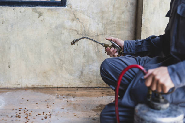 Best Pest Control for Homes  in Caway, AR