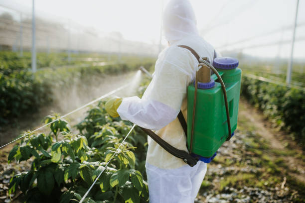 Best Cockroach Control Services  in Caway, AR